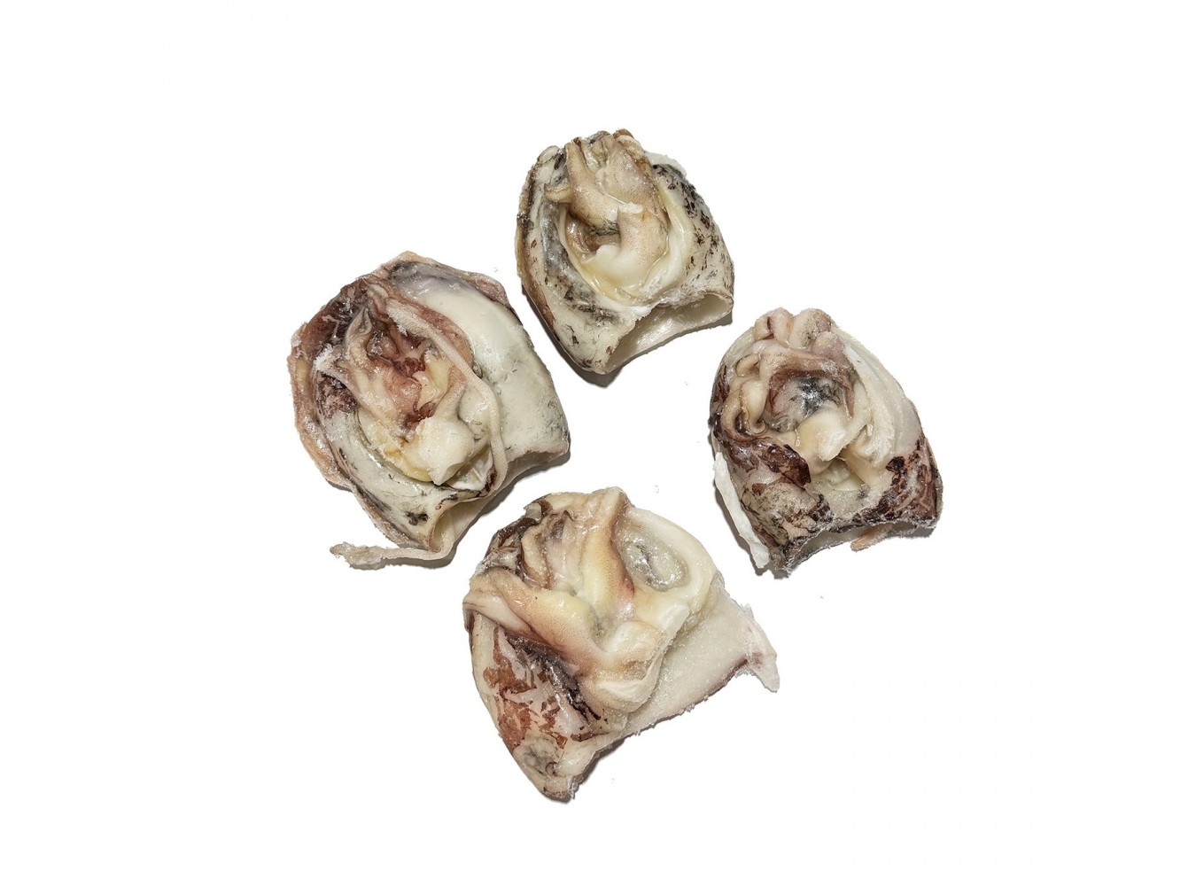 SEPPIE PULITE GR.-100 CDM        CT1X5KG