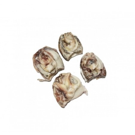 SEPPIE PULITE GR.-100 CDM        CT1X5KG