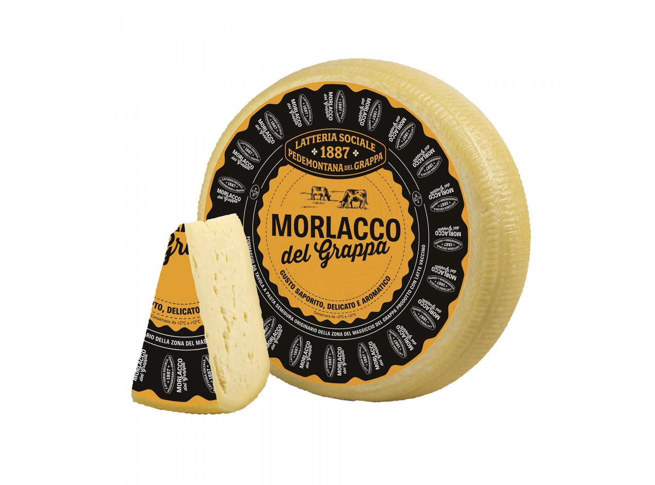 MORLACCO DEL GRAPPA A 1/4       KG.1,2X4