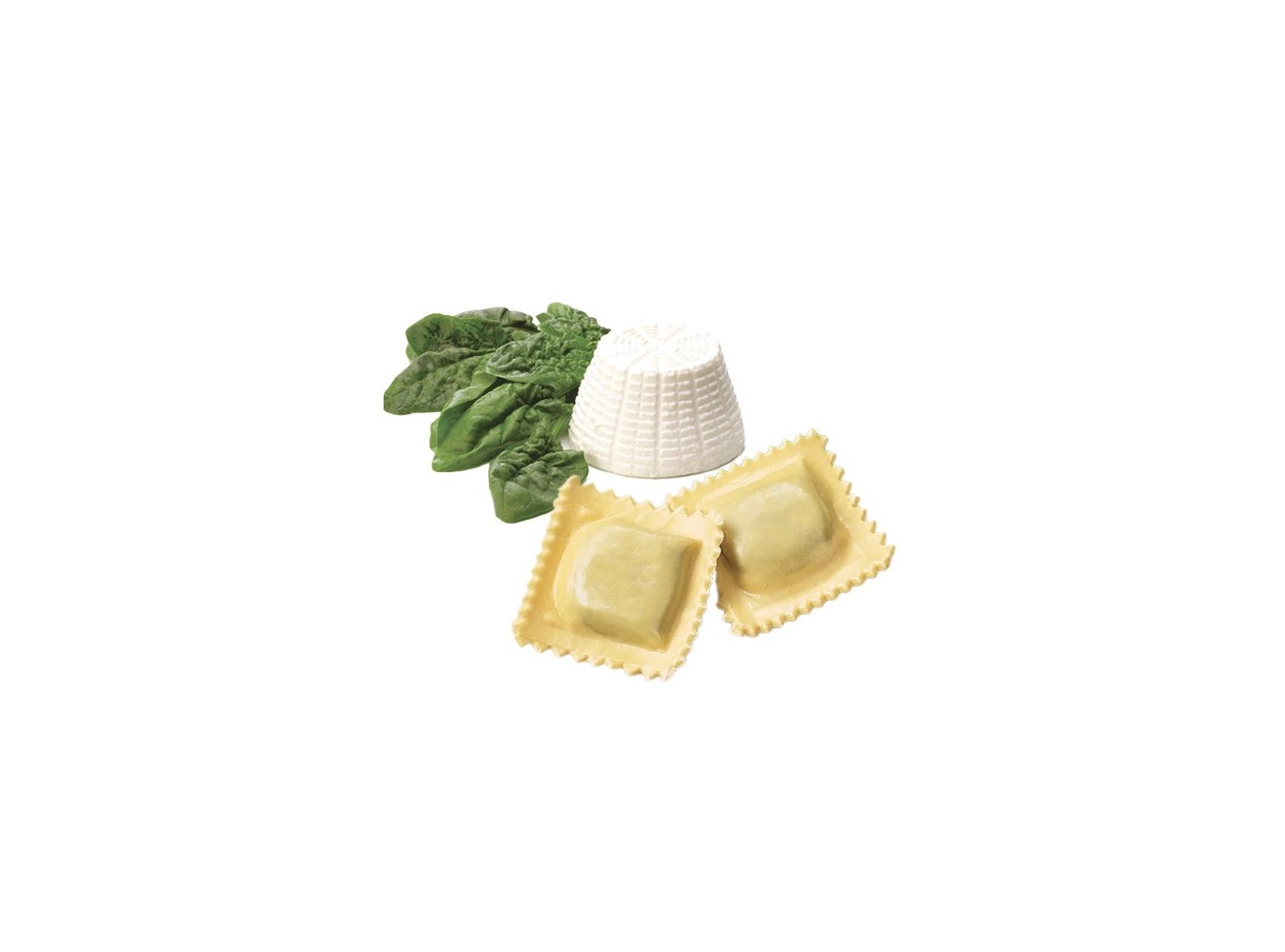 RAVIOLI RICOTTA/SPINACI  KOCH     KG.2X5
