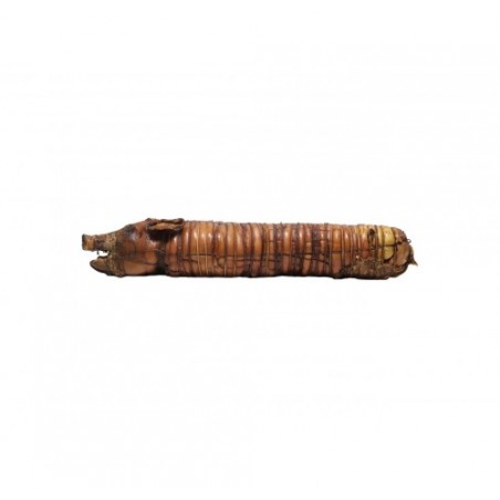 PORCHETTA COTTA C/TESTA            KG.15