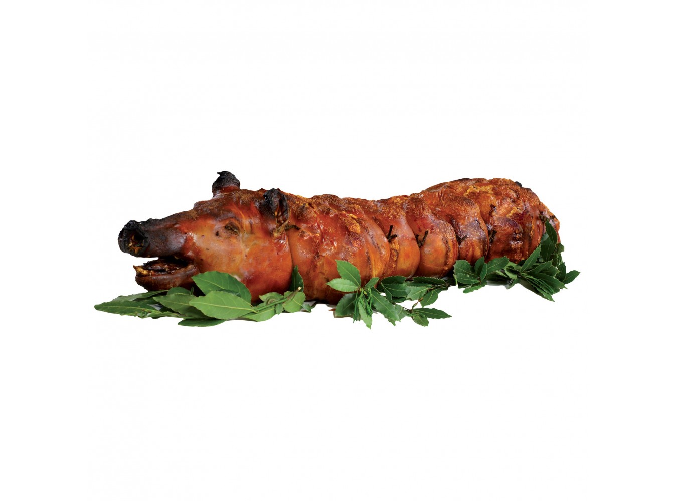 PORCHETTA ARRICCIA COTTA C/TESTA   KG.30