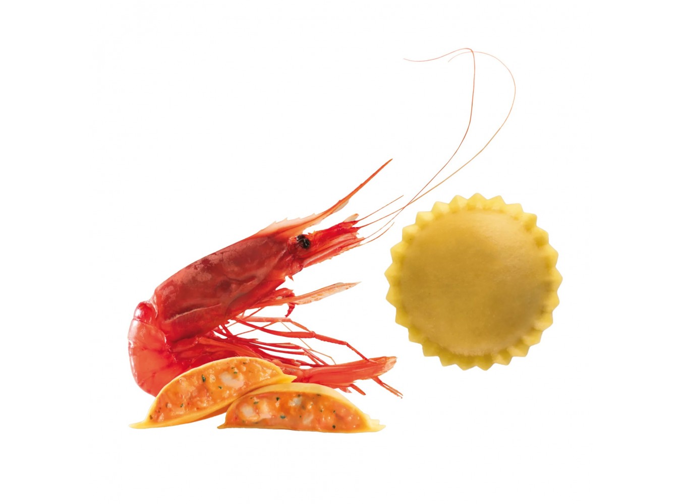 BOTTONI AL GAMBERO ROSSO SURGITAL KG.2