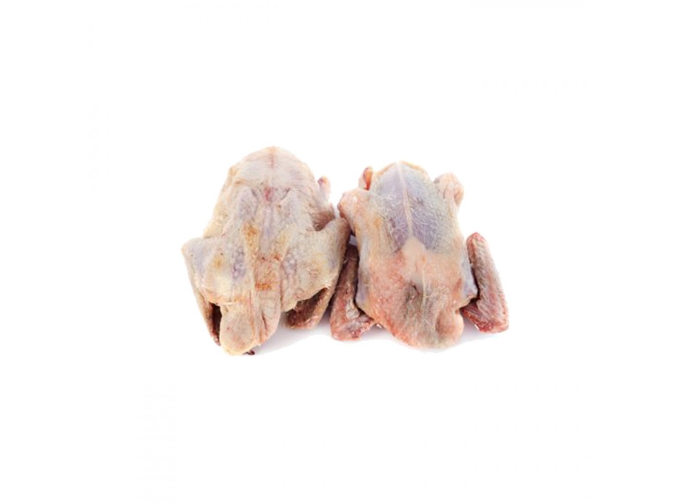 PICCIONE 10/12 PEZZI GELO SOPAS KG.3,3