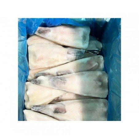 CODE ROSPO 200/300 S/P       CT1X4KG