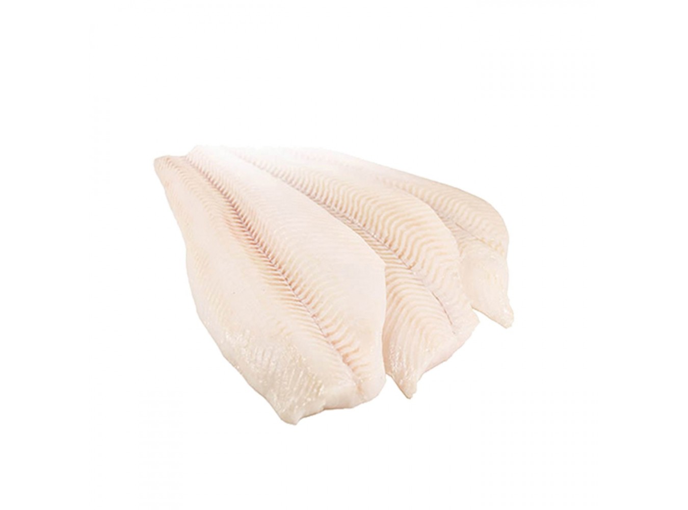 HALIBUT FILETTO S/P100/300 IQF CT1X6KG