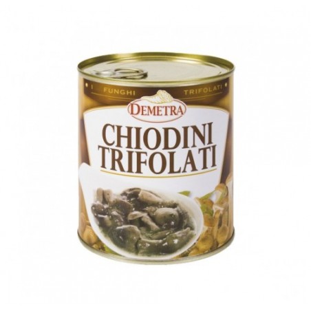 FUNGHI CHIODINI DEMETRA         GR.800X6