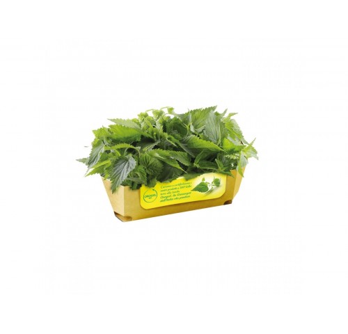ORTICA CUBETTO OROGEL             KG.1X4
