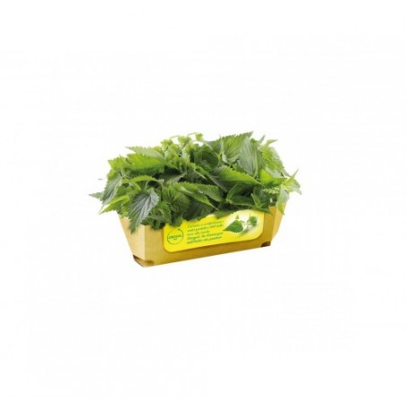 ORTICA CUBETTO OROGEL             KG.1X4