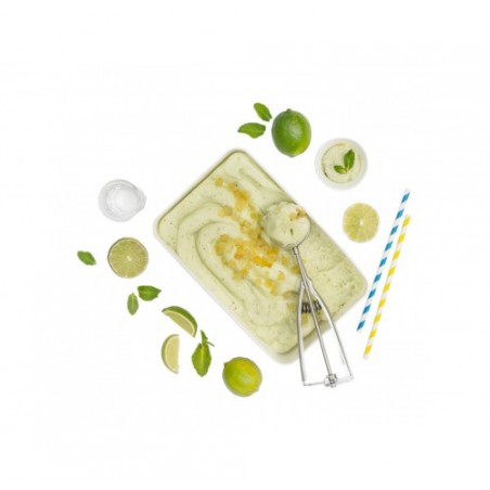 SORBETTO MOJITO GELO              KG.1.8