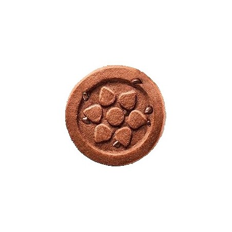 BISC. CIOCCOSOLE S/GLUTINE     GR.250X10