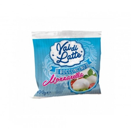 MOZZARELLA BOCCONCINO LATTE UE GR.100X20