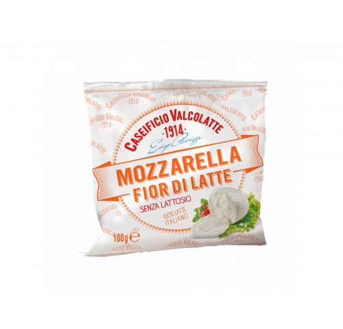 MOZZARELLA BOCCONCINO S/LATTOSIO G100X20