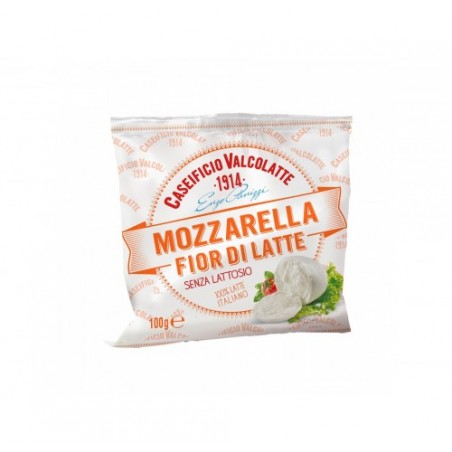 MOZZARELLA BOCCONCINO S/LATTOSIO G100X20