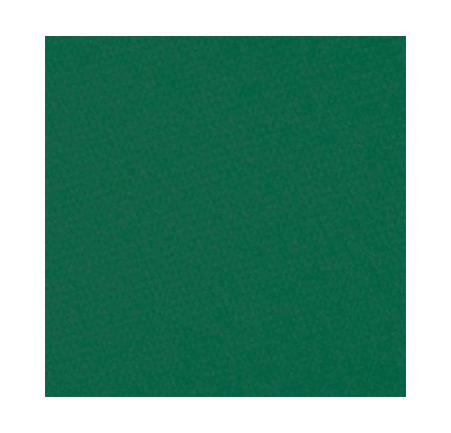 TOV. 40X40 TINTA UNITA VERDE BOSCO N1200