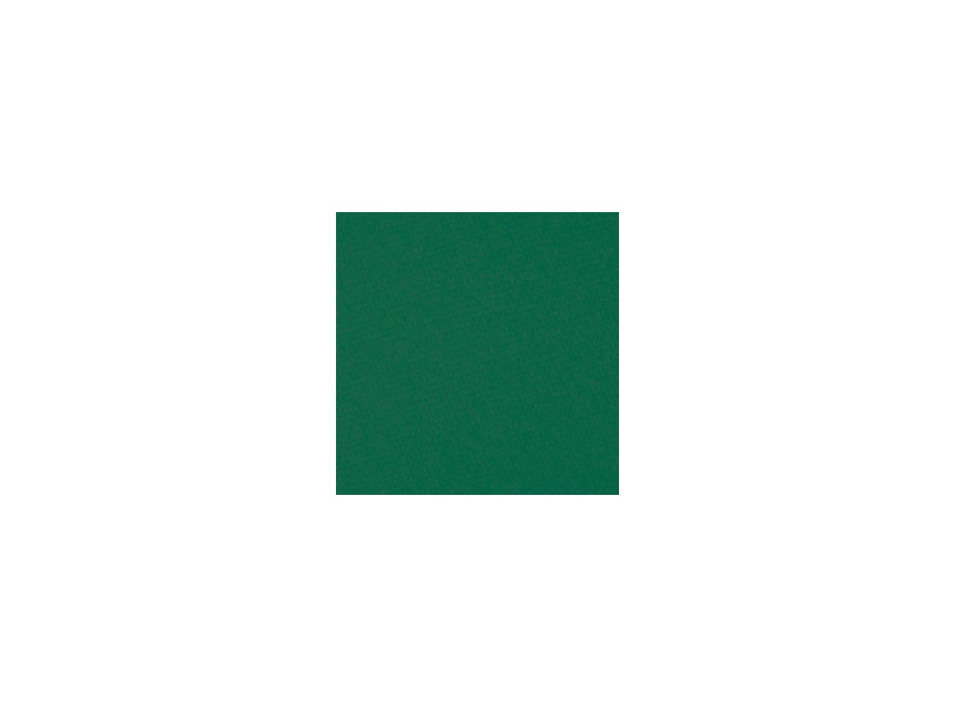 TOV. 40X40 TINTA UNITA VERDE BOSCO N1200