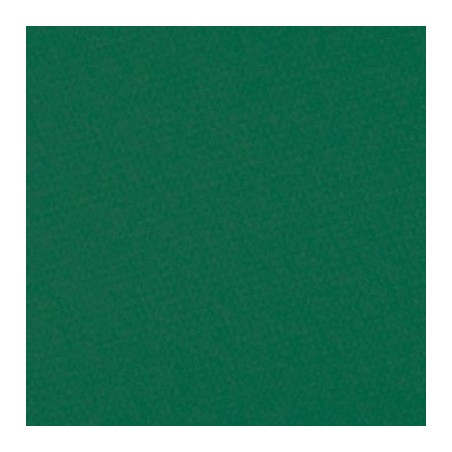 TOV. 40X40 TINTA UNITA VERDE BOSCO N1200