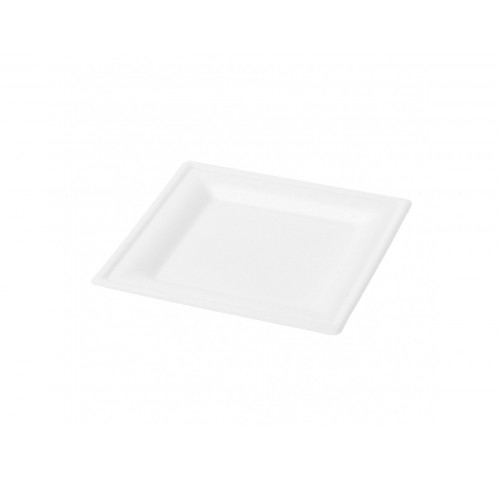 PIATTI QUADRI BIODEGR. 200X200  PZ.50X20