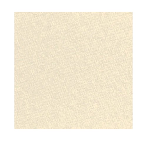TOV. 40X40 TINTA UNITA CHAMPAGNE  N.1200