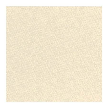 TOV. 40X40 TINTA UNITA CHAMPAGNE  N.1200