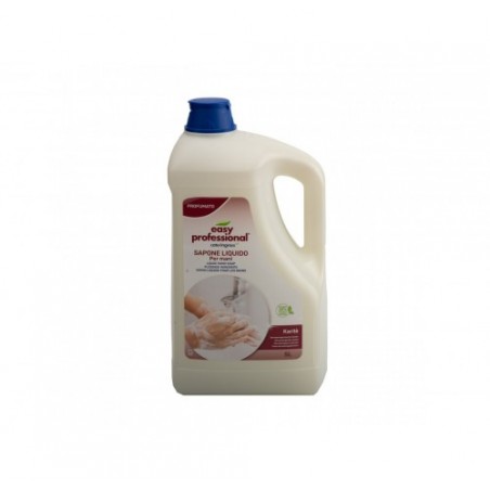 SAP.LIQ. MANI EASY PROFESSIONAL   LT.5X2