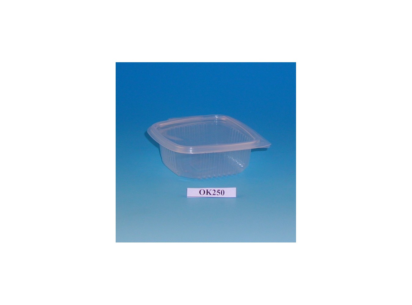 VASCHETTA  PP CC.250 C/COP.     PZ.50X18