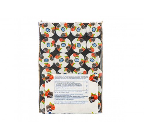 MINIPACK VETRO M&G FRUTTI BOSCO GR.28X48
