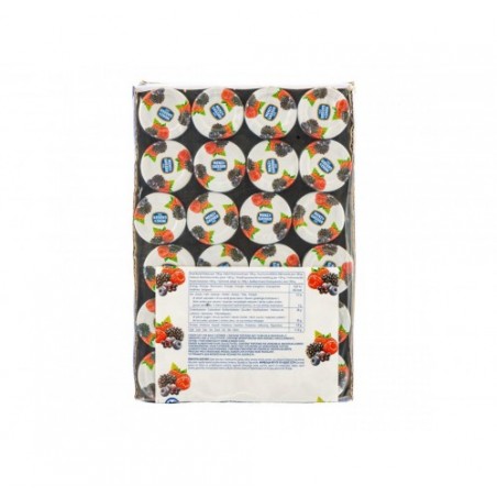 MINIPACK VETRO M&G FRUTTI BOSCO GR.28X48