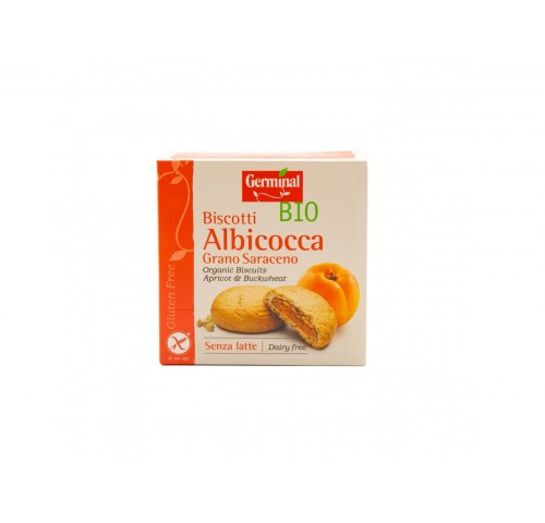 BISC. S/GLUTINE BIO ALBICOCCA  GR.200X10