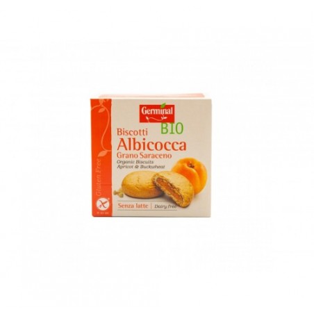 BISC. S/GLUTINE BIO ALBICOCCA  GR.200X10