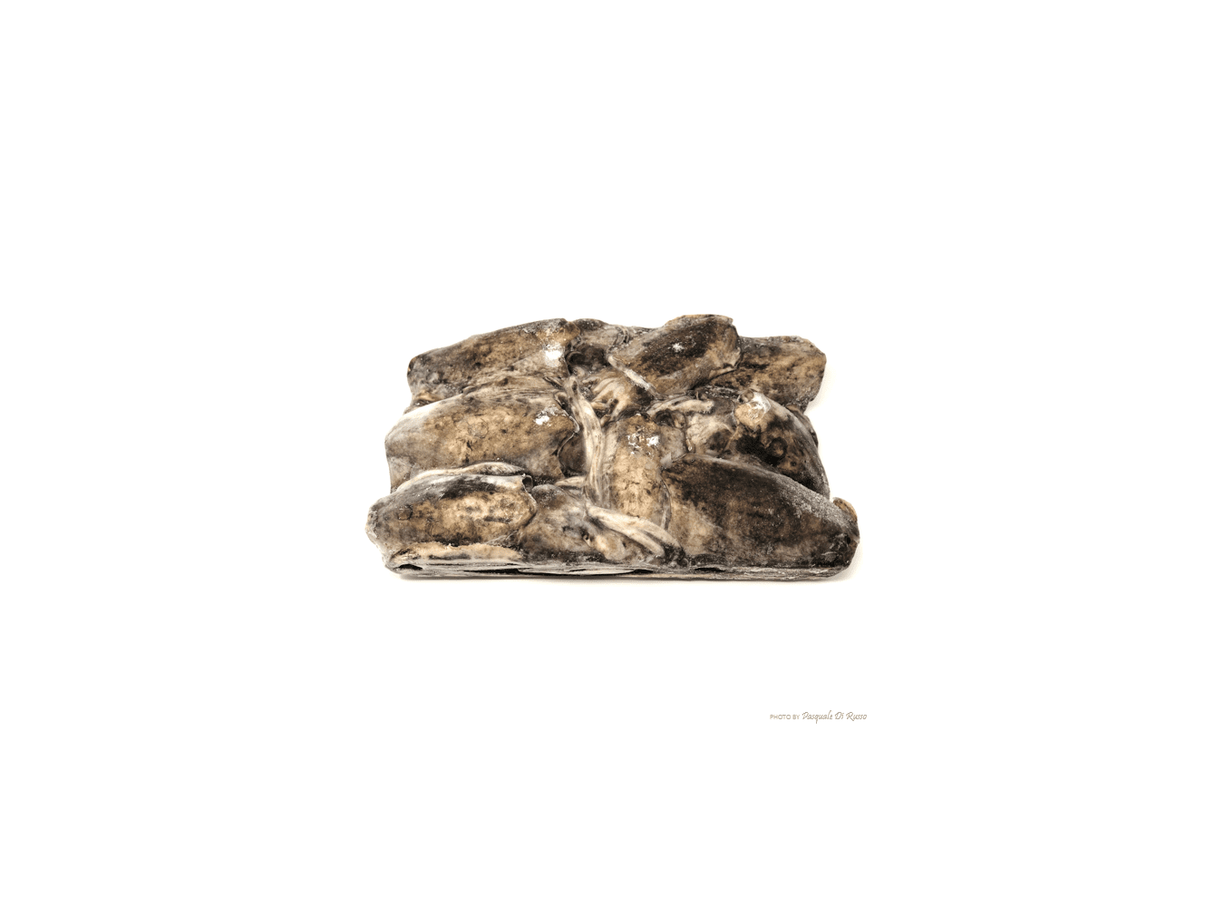 SEPPIE SPORCHE GR.500/1000       KG.20X1