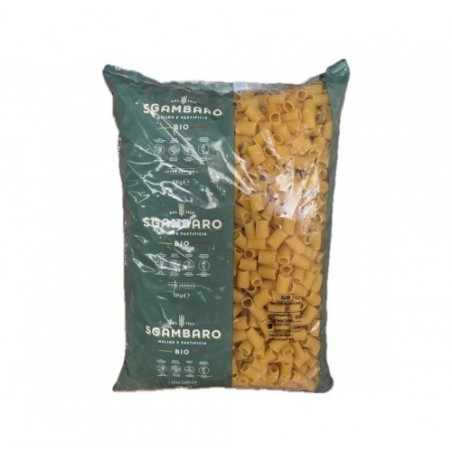 JOLLY BIO 58 MEZZE MANICHE          KG.5