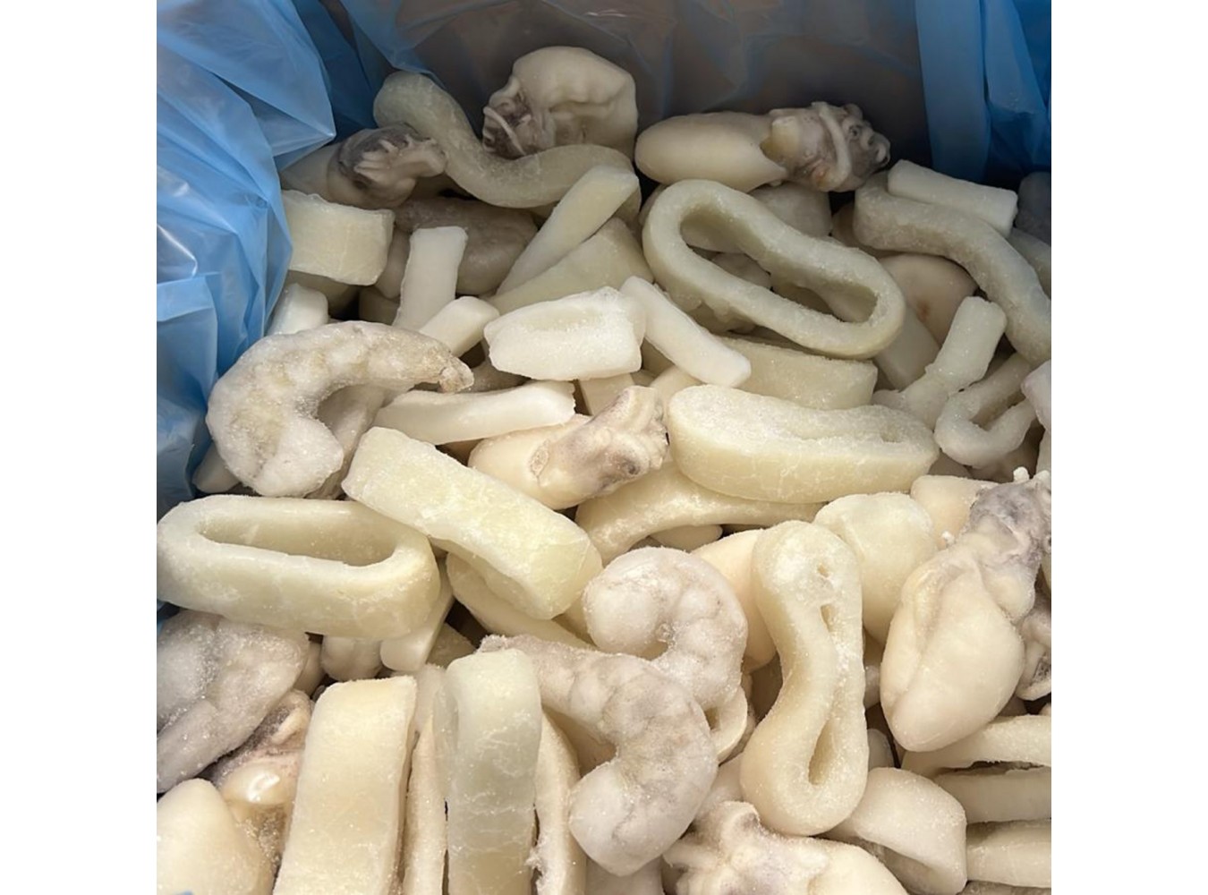 FRITTO MISTO MARCHI IQF        CT1X3,4KG