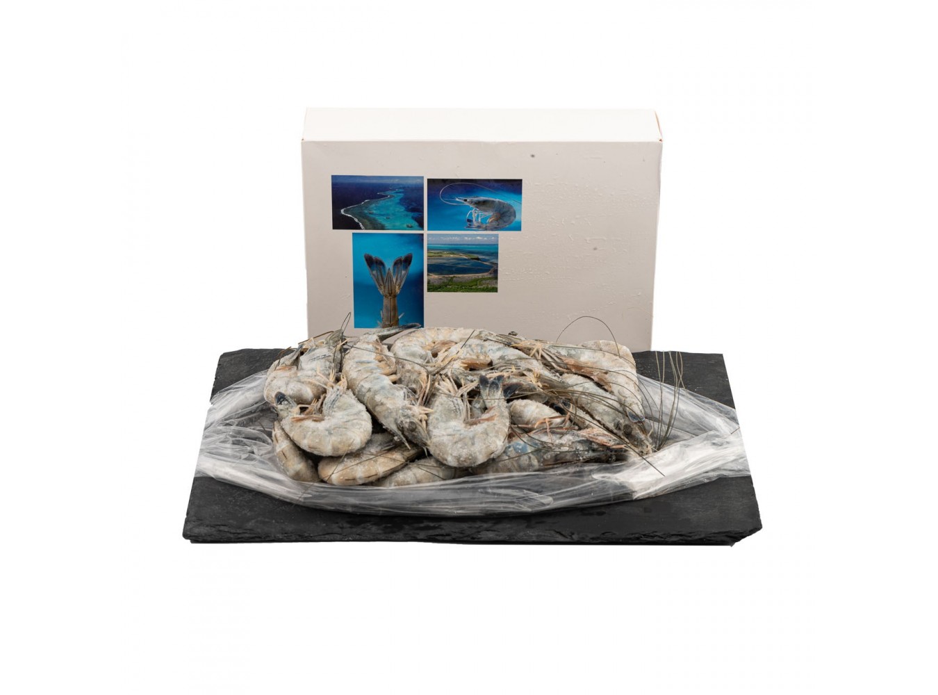 MAZZANCOLLE BLU 21/25 C/G        PZ6X1KG