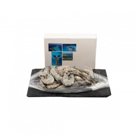 MAZZANCOLLE BLU 21/25 C/G        PZ6X1KG