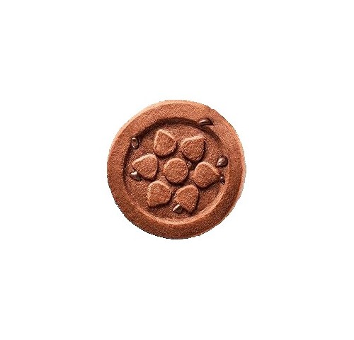 BISC. CIOCCOSOLE S/GLUTINE     GR.250X10