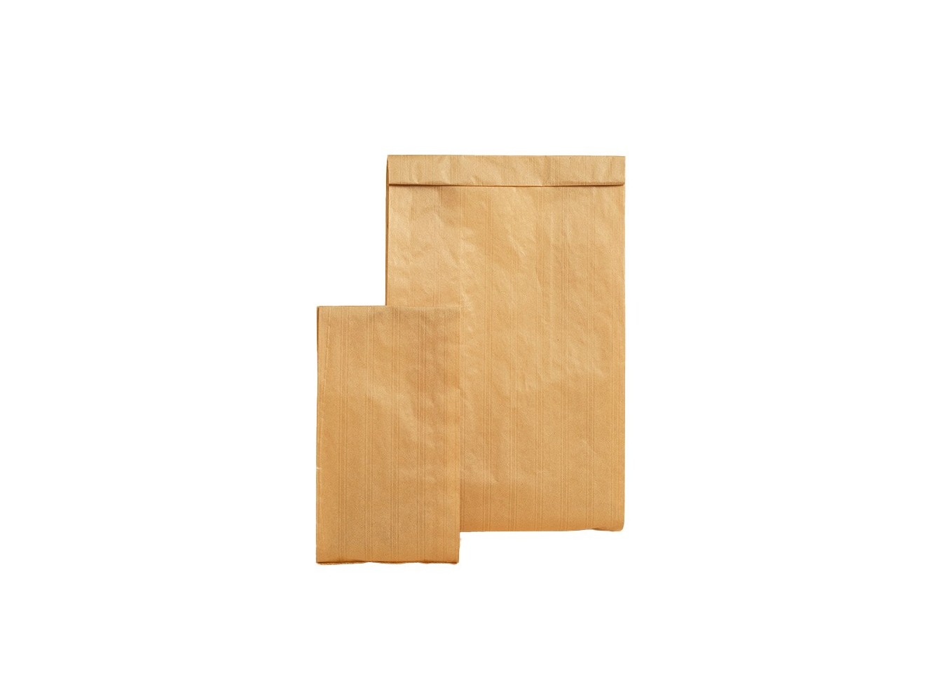 SACCHETTI CARTA AVANA 25X50       PZ.500