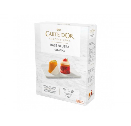 TEXTURE 1 GELATINOSA CARTE D'OR   KG.1X6