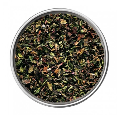 MENTA ESSICCATA WIBERG           GR.70X6