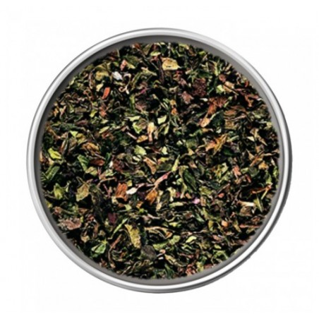 MENTA ESSICCATA WIBERG           GR.70X6