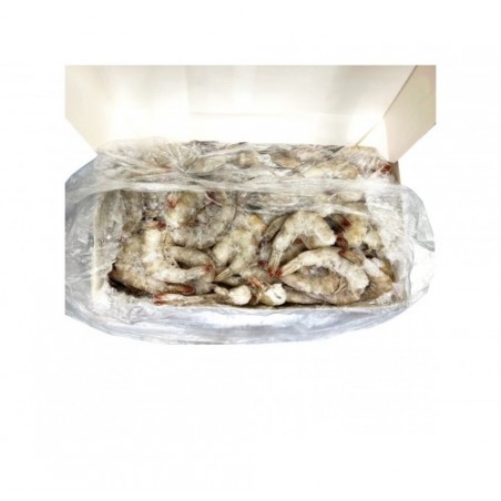 MAZZANCOLLE CODE 36/40 C/G TROP. PZ6X2KG