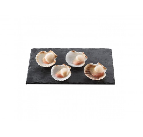 CAPPESANTE 1/2 GUSCIO 30/45 PZ10X800GR