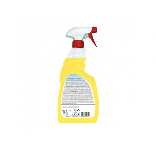 EASY PROFESSIONAL SGRASSATORE   ML.750X6