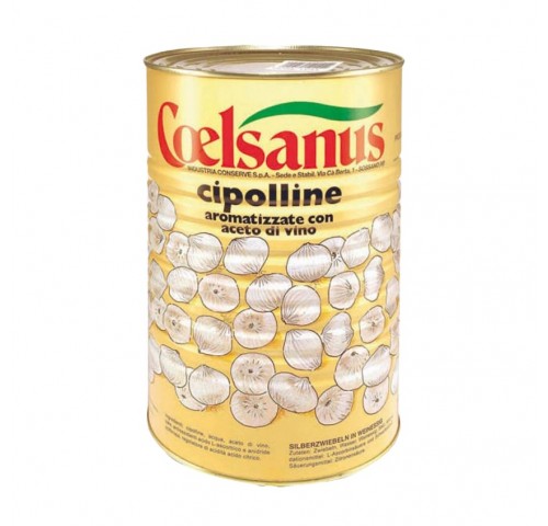 CIPOLLINE COELSANUS 11/13         KG.4X3