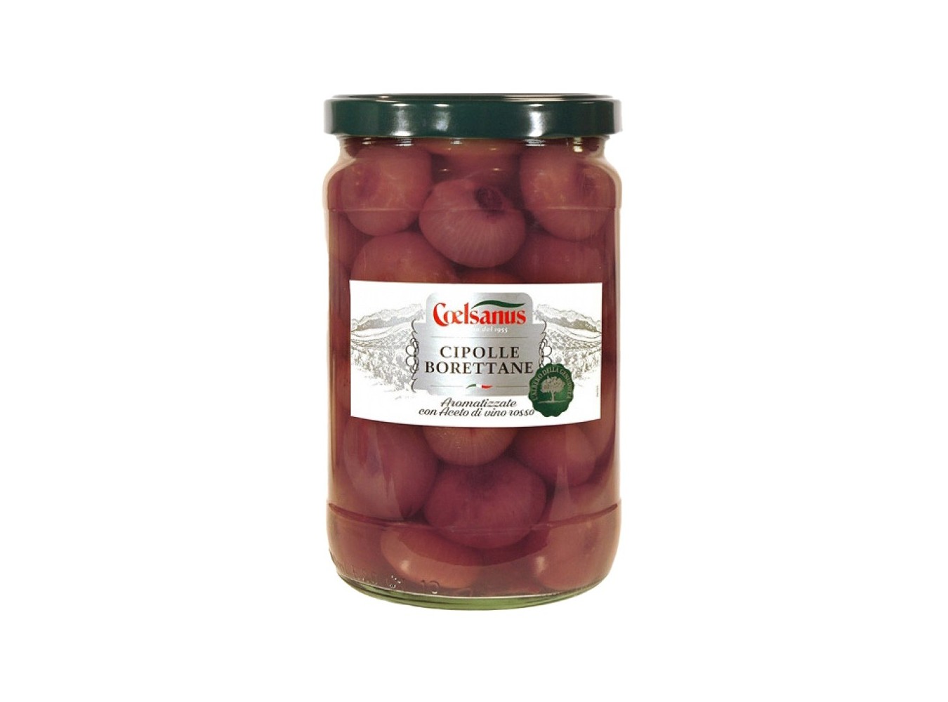 CIPOLLINE COELSANUS ROSSE       KG.1,6X6