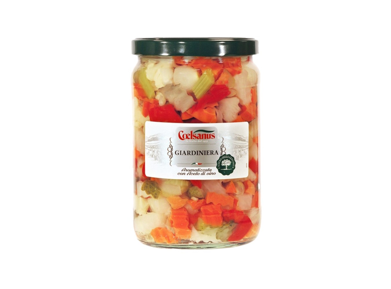 GIARDINIERA ACETO COELSANUS     KG.1,6X6