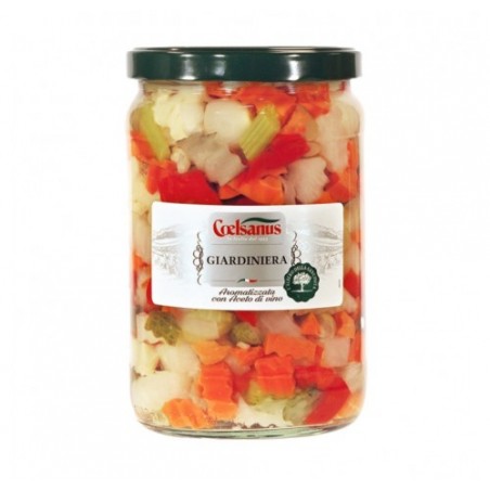 GIARDINIERA ACETO COELSANUS     KG.1,6X6