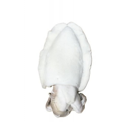 SEPPIE PULITE 2000 UP IQF     CT1X10.8KG