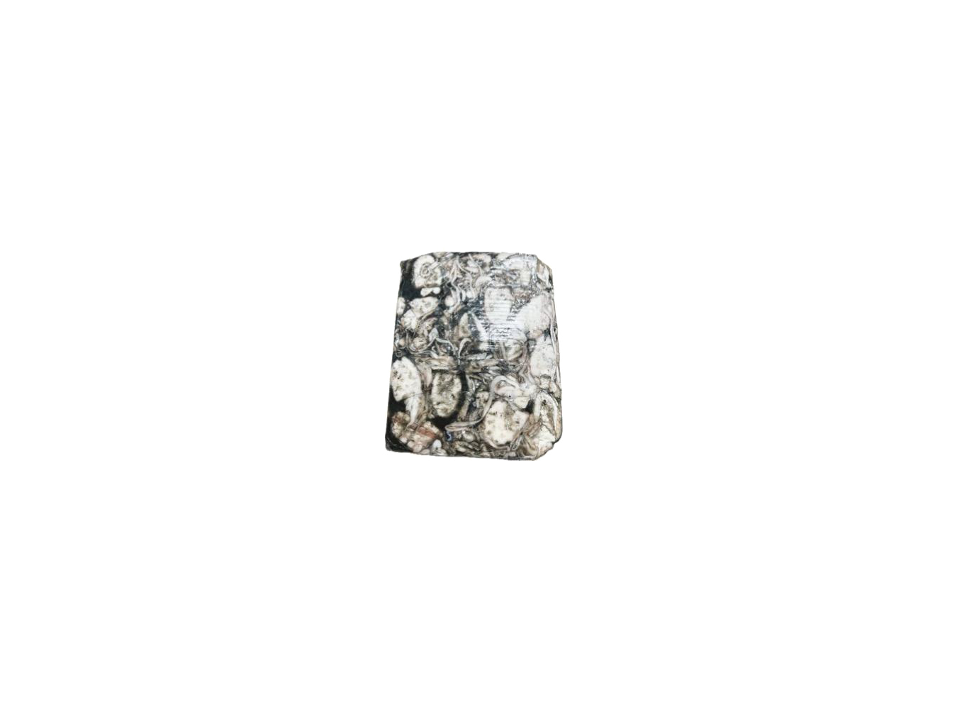 SEPPIE SPORCHE 50/100 BLOCCO 3P CT1X12KG