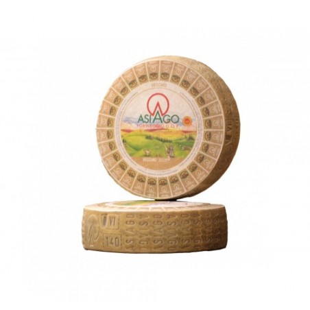 ASIAGO VECCHIO DOP SAN ROCCO      KG.2,5